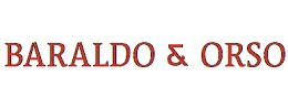 logo adviserit